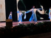 專業(yè)演藝服務(wù)，連接舞臺(tái)夢想——山東辰藝文化演出經(jīng)紀(jì)工作室全國演員輸出服務(wù)